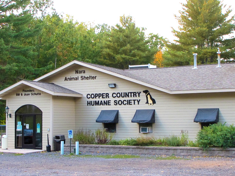 copper country humane society dogs