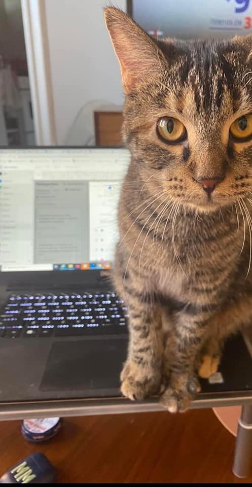 work helper